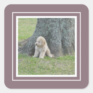 Add Custom Photo Template Grape Purple & White Square Sticker