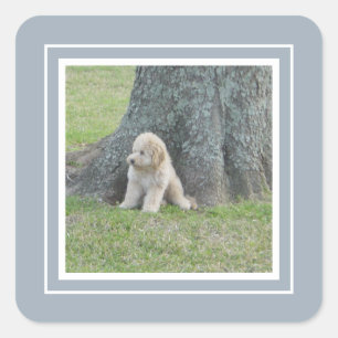 Add Custom Photo Template Light Blue & White Square Sticker