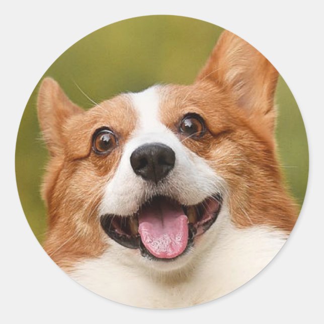 Add Dog Photo Personalised Customised Classic Round Sticker (Front)