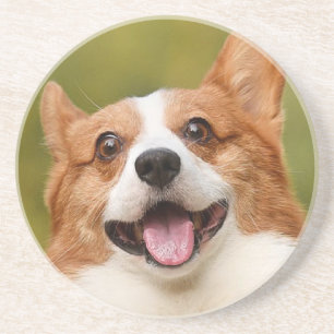 Add Dog Photo Personalised Customised Coaster