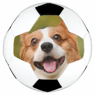 Add Dog Photo Personalised Customised Football