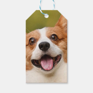 Add Dog Photo Personalised Customised Gift Tags