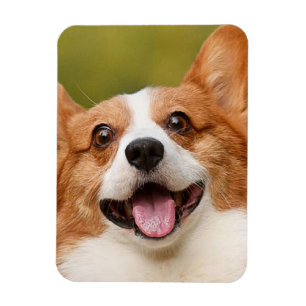 Add Dog Photo Personalised Customised Magnet