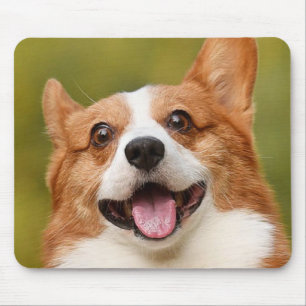 Add Dog Photo Personalised Customised Mouse Mat