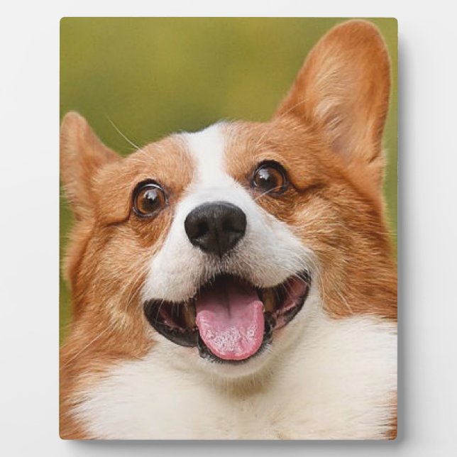 Add Dog Photo Personalised Customised Plaque (Front)