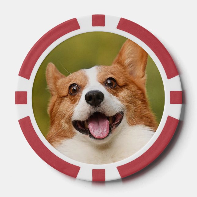 Add Dog Photo Personalised Customised Poker Chips (Front)