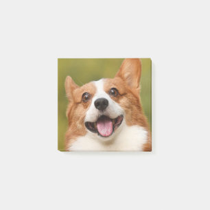 Add Dog Photo Personalised Customised Post-it Notes