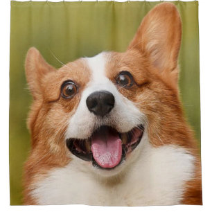 Add Dog Photo Personalised Customised Shower Curtain