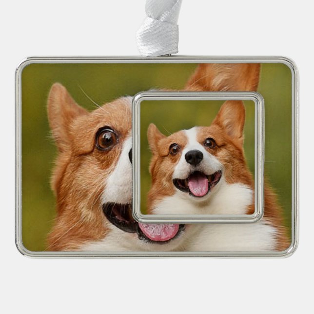 Add Dog Photo Personalised Customised Silver Plated Framed Ornament (Front)
