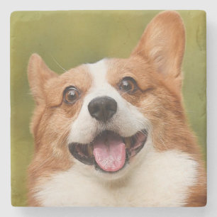 Add Dog Photo Personalised Customised Stone Coaster