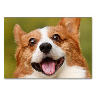 Add Dog Photo Personalised Customised Table Number