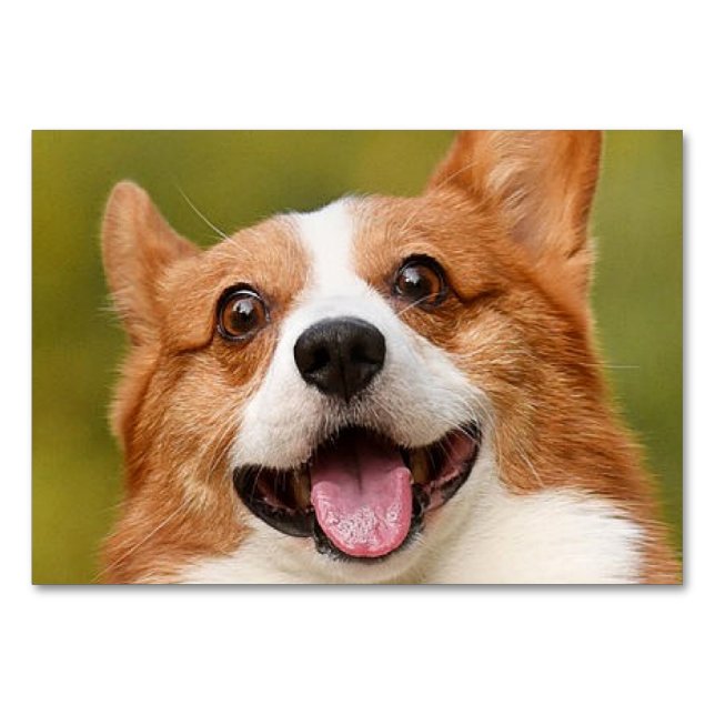 Add Dog Photo Personalised Customised Table Number (Front)