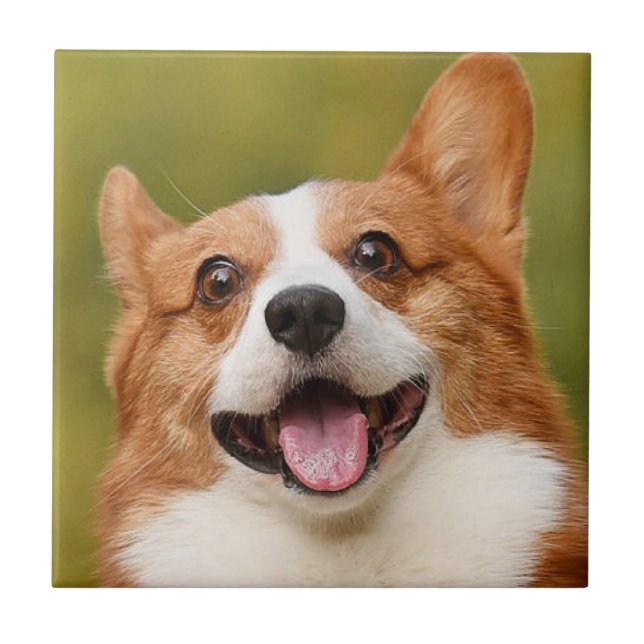 Add Dog Photo Personalised Customised Tile (Front)