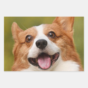 Add Dog Photo Personalised Customised Wrapping Paper Sheet