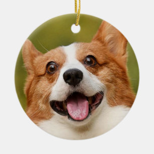 Add Dog Photo Personalized Customized Ceramic Tree Decoration
