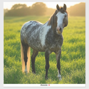 Add Horse Photo Customise