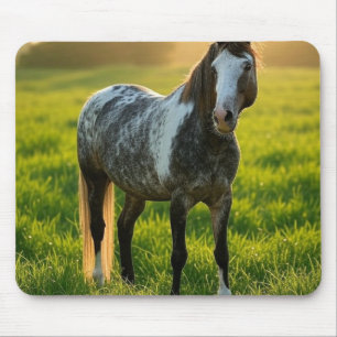 Add Horse Photo Customise Mouse Mat