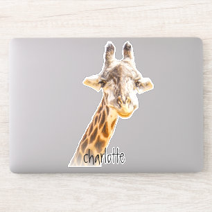 Add Name Grinning Cute Giraffe Photography Modern