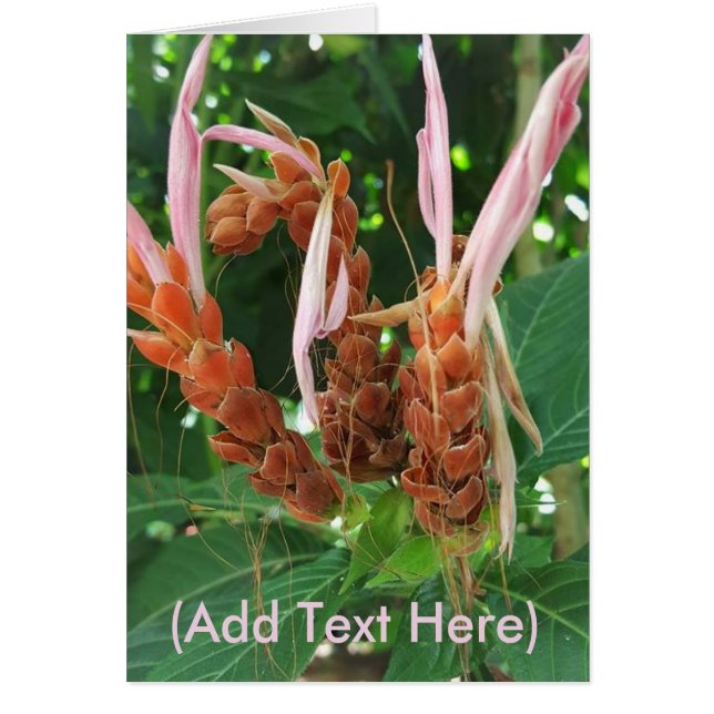 Add Personal Message onto Unique Floral Card (Front)