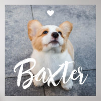 Add Pet Photo and White Script Name Heart
