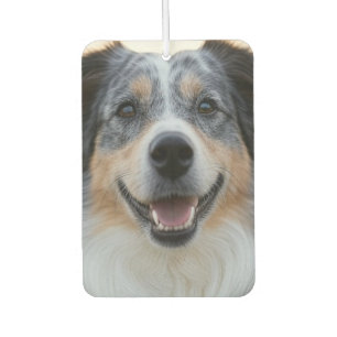 Add Pet Photo Customise Car Air Freshener