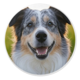 Add Pet Photo Customise Ceramic Knob