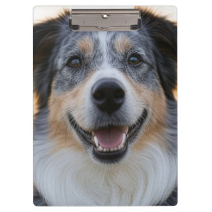 Add Pet Photo Customise Clipboard