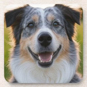 Add Pet Photo Customise Coaster