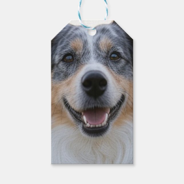 Add Pet Photo Customise Gift Tags (Front)