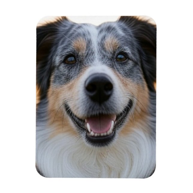 Add Pet Photo Customise Magnet (Vertical)