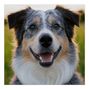 Add Pet Photo Customise Poster