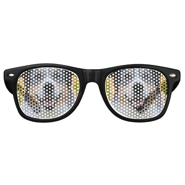 Add Pet Photo Customise Retro Sunglasses (Front)