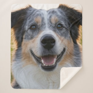 Add Pet Photo Customise Sherpa Blanket