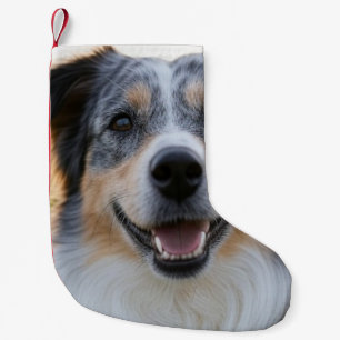 Add Pet Photo Customise Small Christmas Stocking
