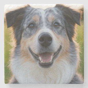 Add Pet Photo Customise Stone Coaster