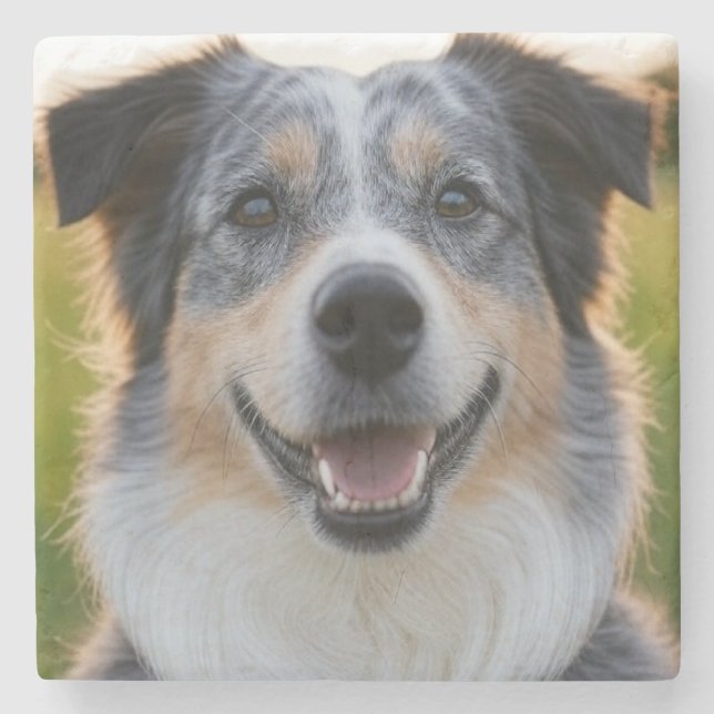 Add Pet Photo Customise Stone Coaster (Front)