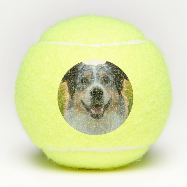 Add Pet Photo Customise Tennis Balls (Front)