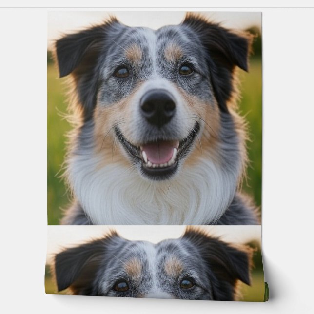 Add Pet Photo Customise Wallpaper (Unrolling)