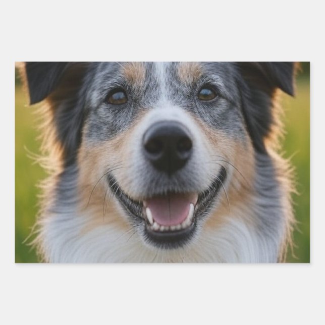 Add Pet Photo Customise Wrapping Paper Sheet (Front)