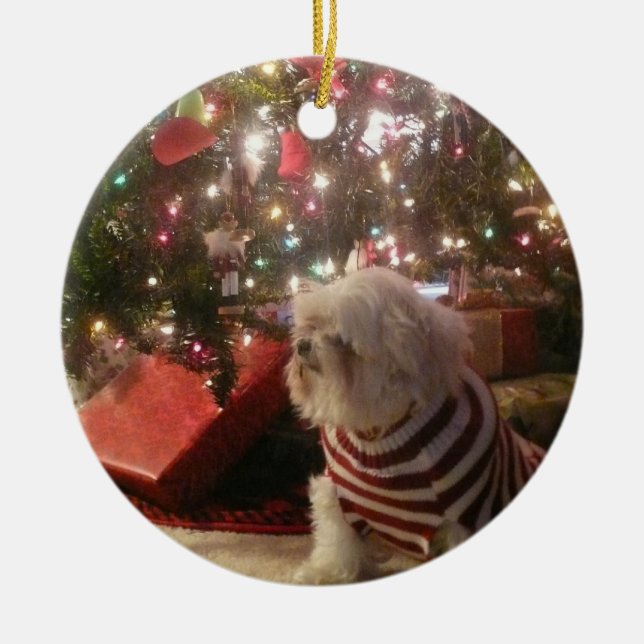 Add pet photo/person Christmas Tree Ornament (Front)