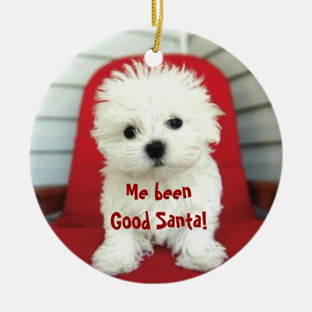 Add pet photo/person Christmas Tree Ornament (Front)