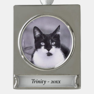 Add Pets Photo Silver Name and Year Plated Banner Ornament