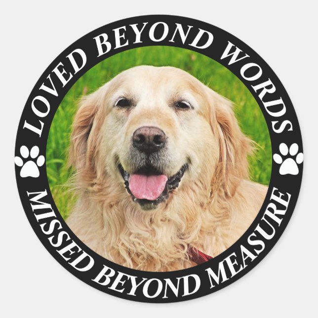 Add Photo and Name Pet Memorial Classic Round Stic Sticker (Front)