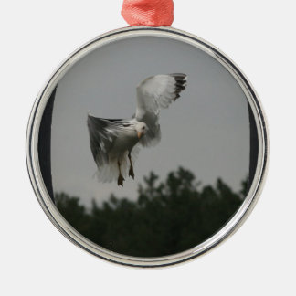 Add Photo Large Oval Frame(black) Metal Tree Decoration