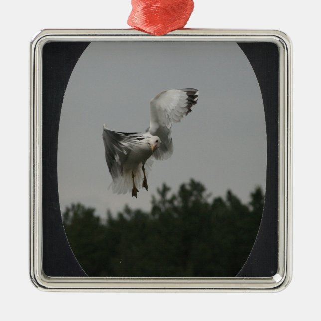 Add Photo Large Oval Frame(black) Metal Tree Decoration (Front)