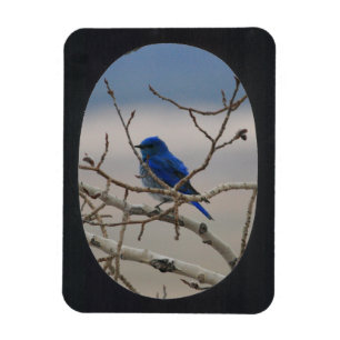 Add Photo Oval Frame(black) Magnet