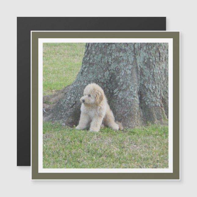 Add Photo to Square Template Moss Green Magnet (Front/Back)