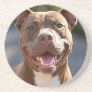 Add Pit Bull Photo Customise Coaster