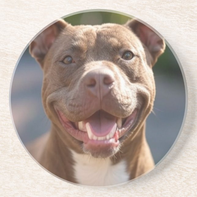 Add Pit Bull Photo Customise Coaster (Front)