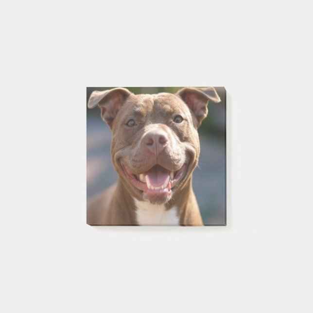 Add Pit Bull Photo Customise Post-it Notes (Front)